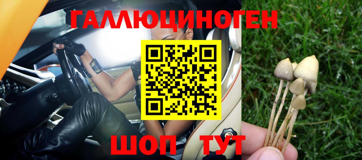 Псилоцибиновые грибы Magic Shrooms Донской